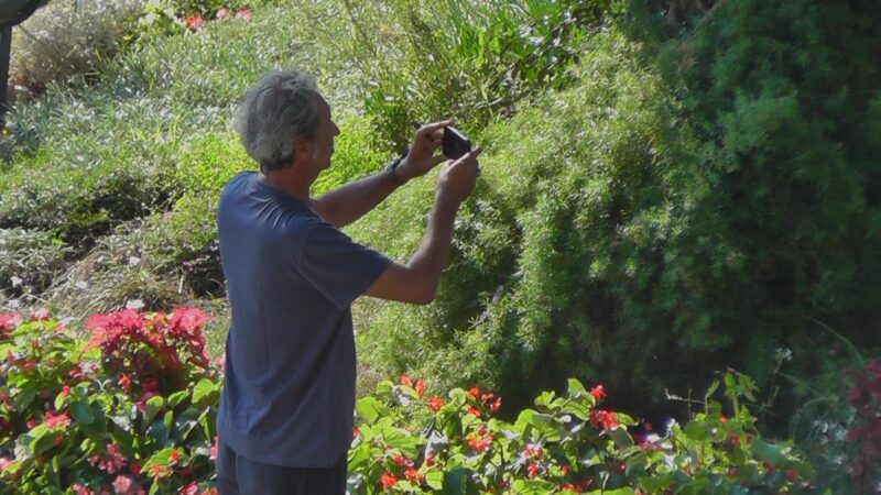 Paolo Sorrentino, Partenope e il nuovo film girato a Capri