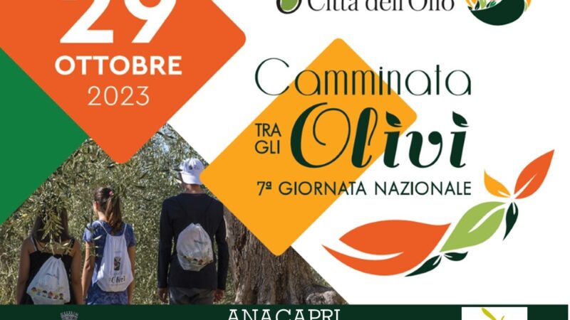 “Camminata tra gli olivi”, Anacapri partecipa alla giornata nazionale giunta alla settima edizione