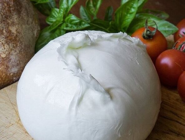 Mozzarella “Dop” con raggiro: scoperti menu fake a Capri, Ischia e Amalfi