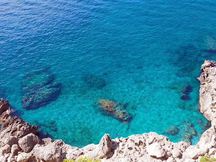 Il direttore dell’area marina di Punta Campanella: “Capri protegga il mare, l’isola diventerà un’oasi”