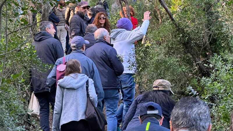 Flash mob contro il disboscamento selvaggio tra la piana delle noci e il Semaforo a Capri (video e foto)