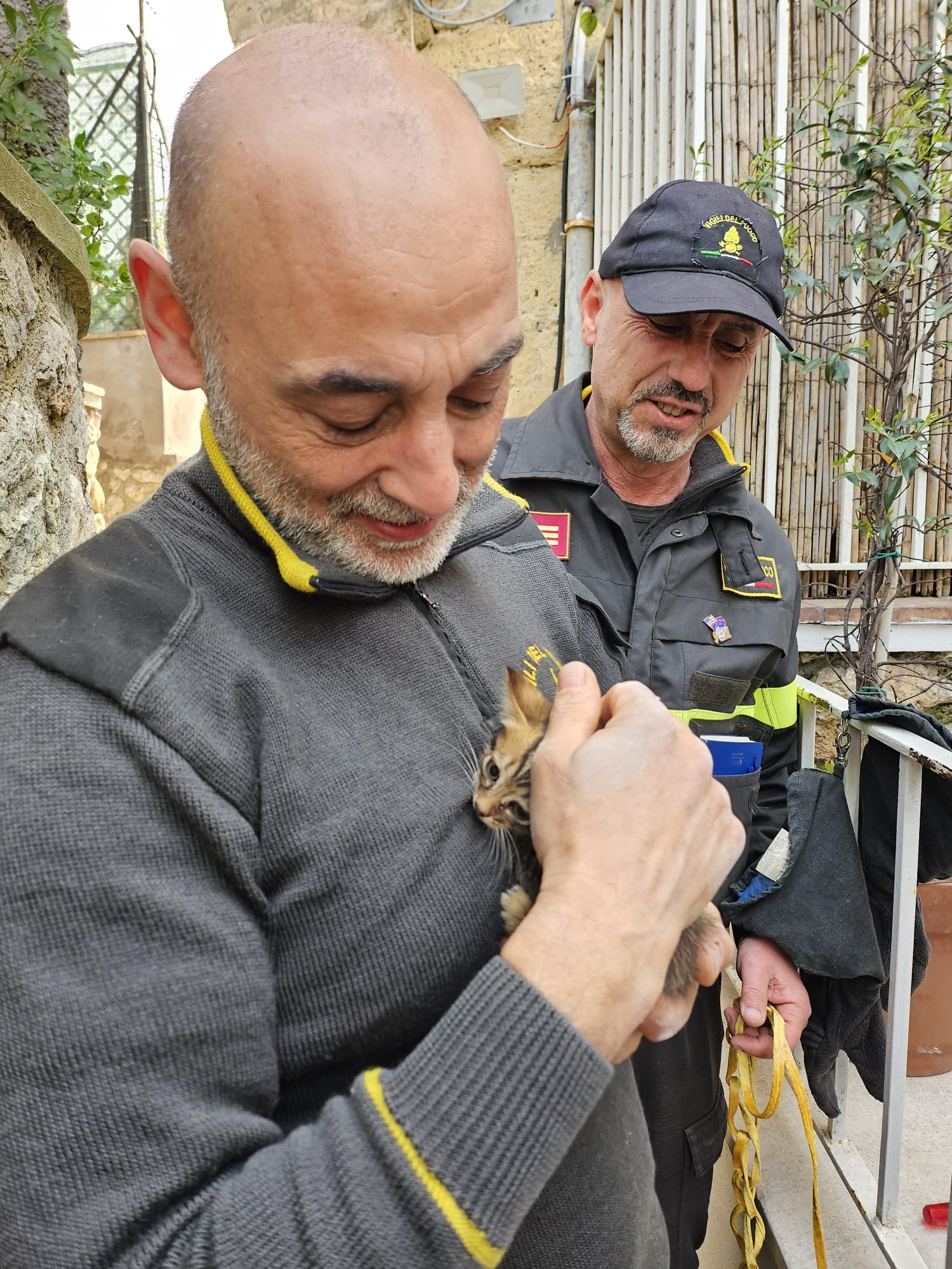 Gattino intrappolato in un tubo al b&b salvato dai vigili dei fuoco di Capri