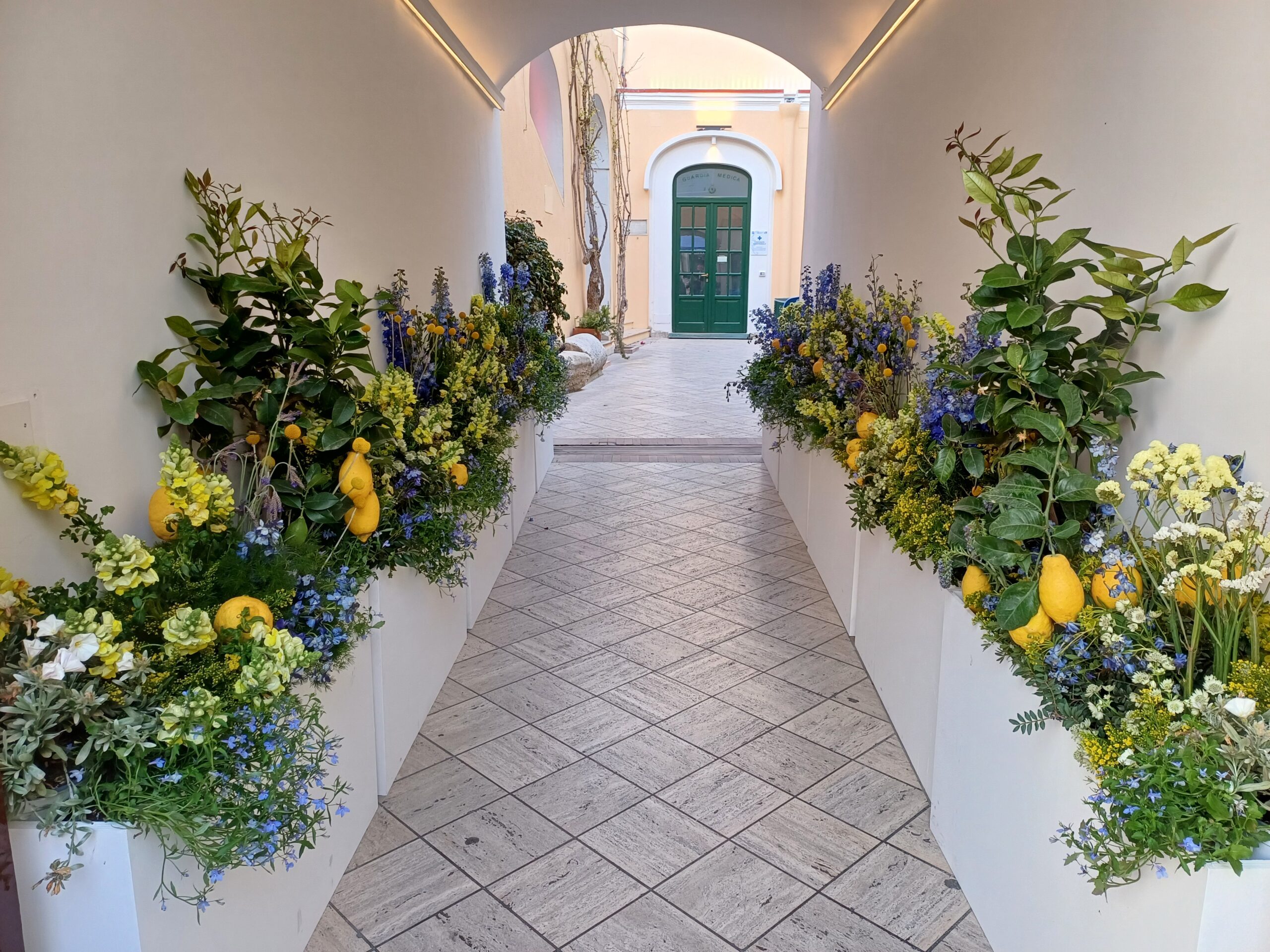 Fiori e piante di limoni, abbellito l’ingresso della casa comunale di Capri