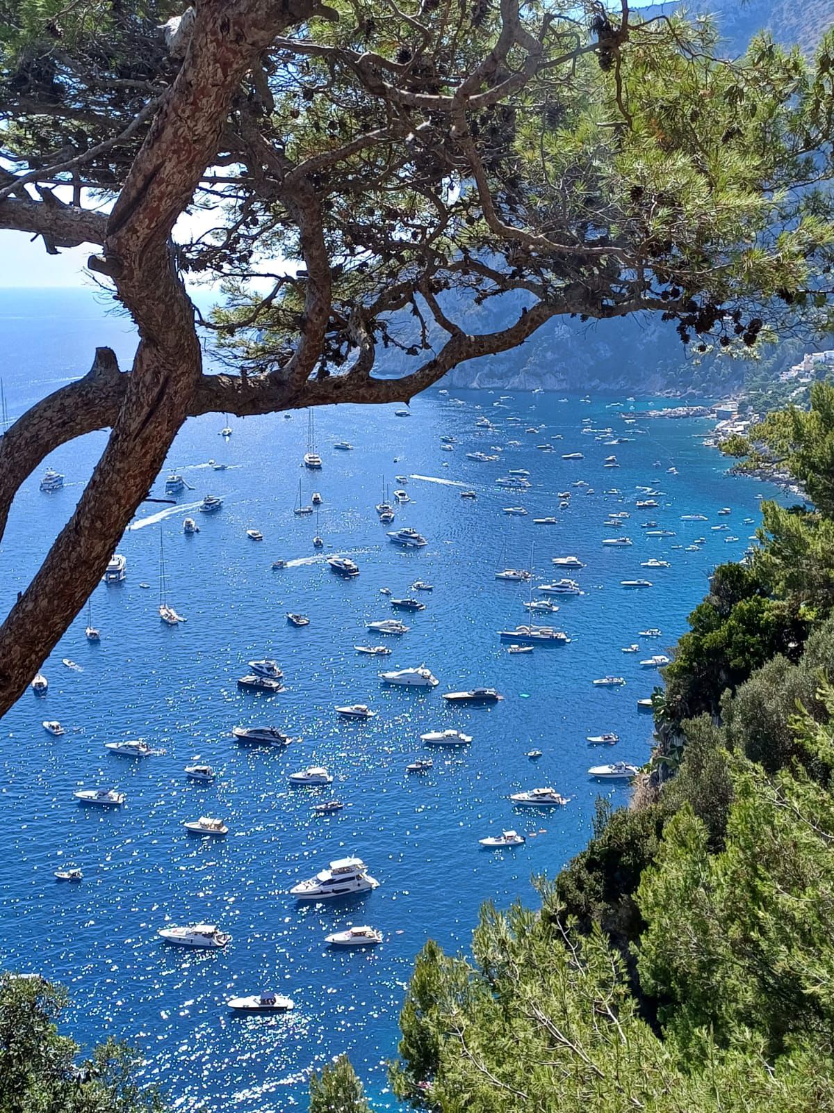 Sicurezza in mare: partita l’istallazione delle boe a Capri, avviato l’iter ad Anacapri