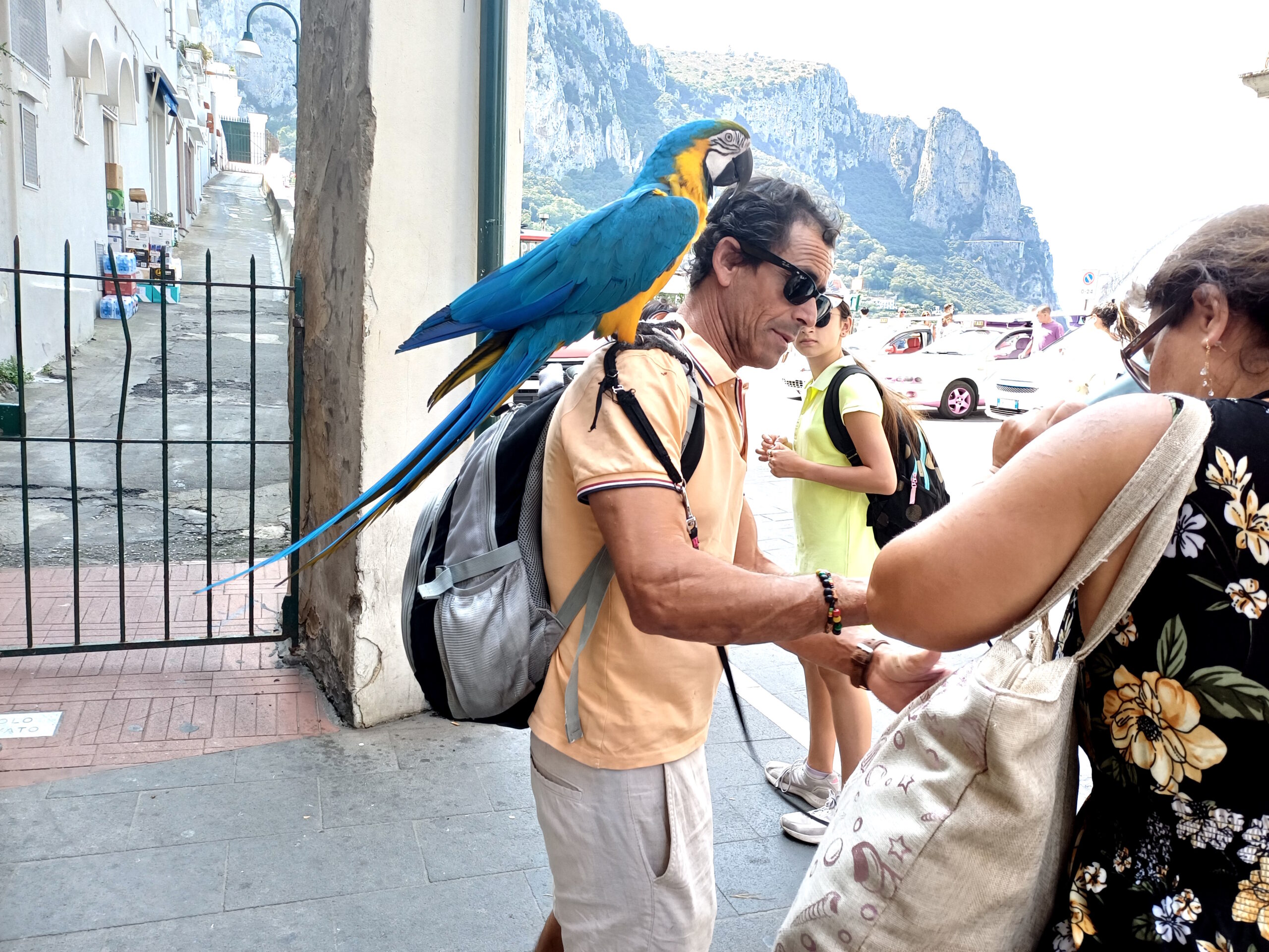 Curiosità: turista in vacanza a Capri con un bellissimo pappagallo sulla spalla (photogallery)