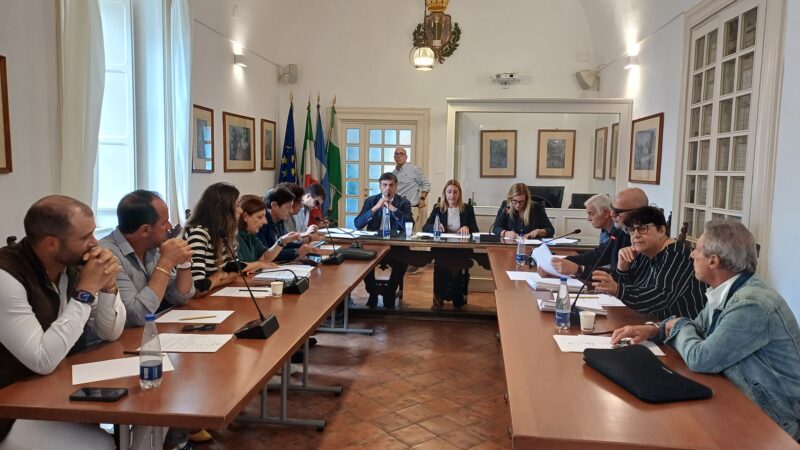 Sicurezza sul porto e arrivi troppo ravvicinati: in Consiglio Comunale di Capri maggioranza e opposizione trovano l’intesa sul percorso da avviare