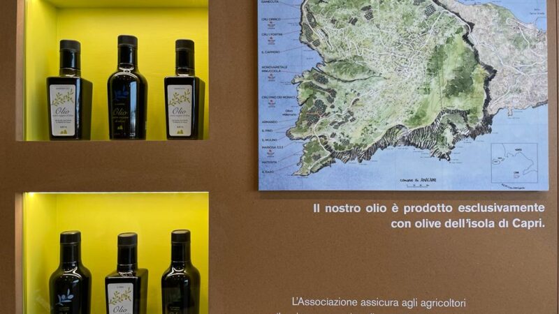 L’Oro di Capri a Torino all’evento Terra Madre Salone del Gusto a cura di Slow Food