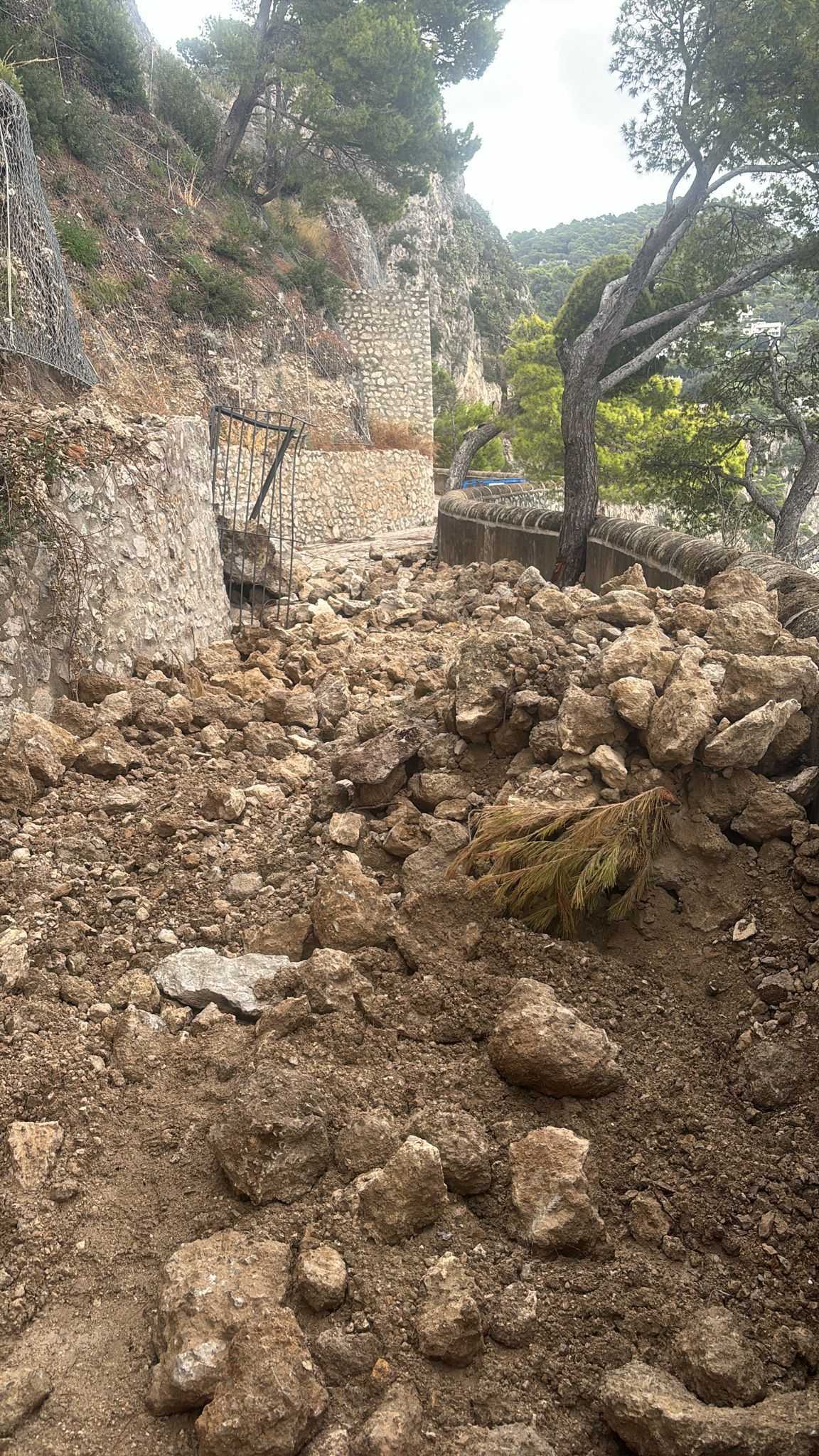 Nessuna frana in via Krupp ma solo materiale di risulta accantonato dalla Gheller a conclusione degli interventi di pulizia sul costone