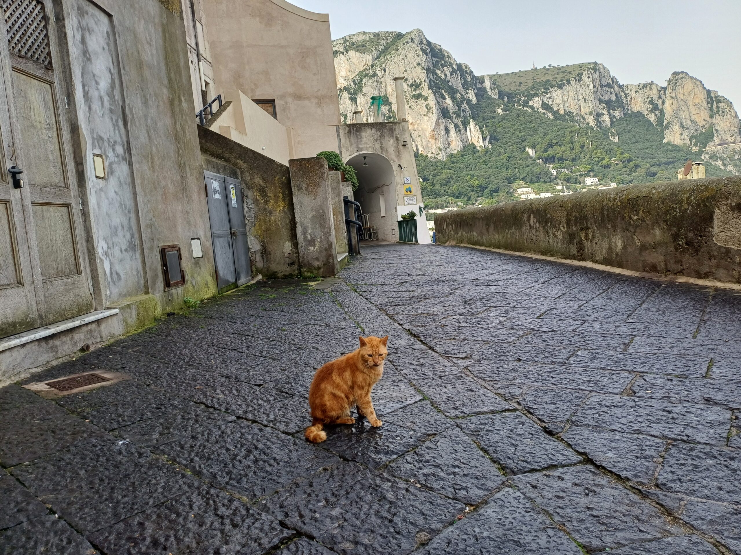 “Borgo di Santa Teresa in festa”: un’intera giornata a Capri all’insegna di musica, mestieri antichi, tradizioni e visite guidate. Il programma della manifestazione