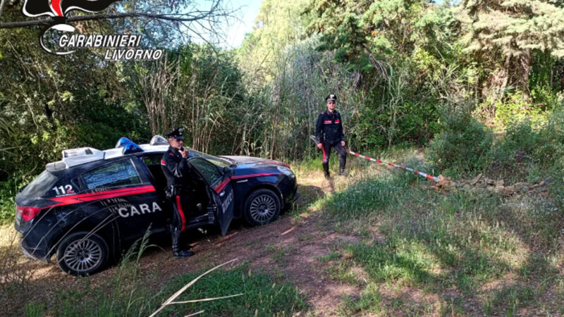 Tentato omicidio a Piombino: 24enne agli arresti domiciliari ad Anacapri