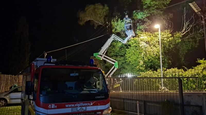 Maltempo: problemi per il forte vento sull’isola. Rami su cavi elettrici ad Anacapri, intervenuti vigili del fuoco e Sippic (foto e video)