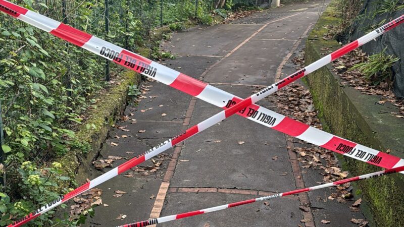 Albero pericolante, disposta la chiusura di un tratto di via Moneta. Ordinanza della Polizia Municipale di Capri