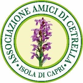 Convocata alla sala “Cacace” di Anacapri l’assemblea dell’associazione “Amici di Cetrella”