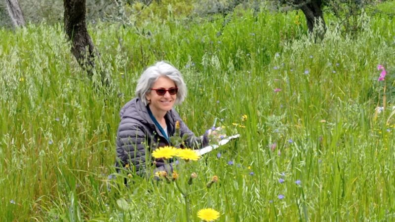 L’Oro di Capri a Roma per la presentazione del libro “Gli olivi di Capri, una storia di agricoltura eroica” a cura di Simonetta Capecchi (Electa 2024)