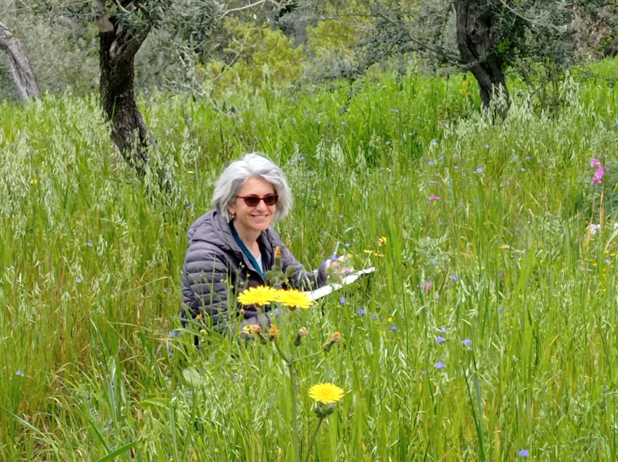 L’Oro di Capri a Roma per la presentazione del libro “Gli olivi di Capri, una storia di agricoltura eroica” a cura di Simonetta Capecchi (Electa 2024)