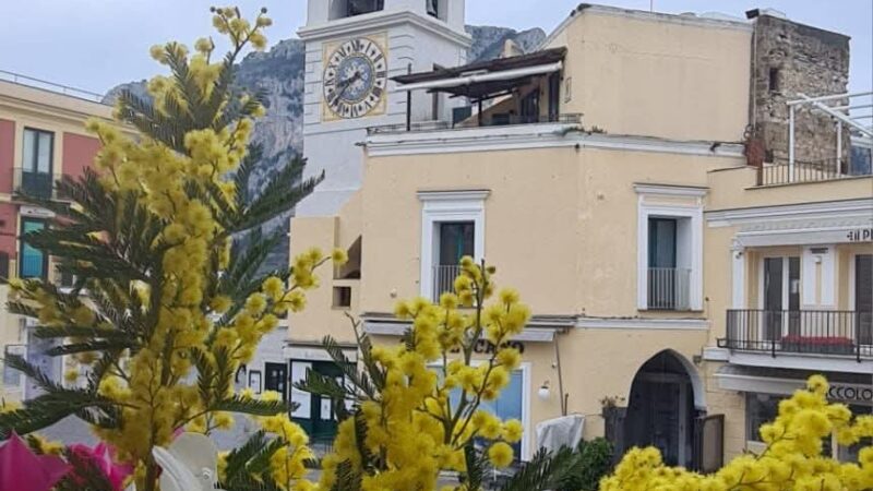 8 marzo: mimose nella Piazzetta di Capri, il messaggio del sindaco Falco