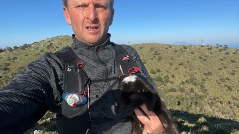 La storia: Gianluca Aprea salva un cucciolo di capra rimasto intrappolato sulle alture di Anacapri, il video del commovente ricongiungimento con la mamma